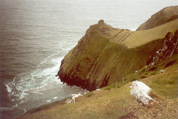 Dingle Bay Cliffs