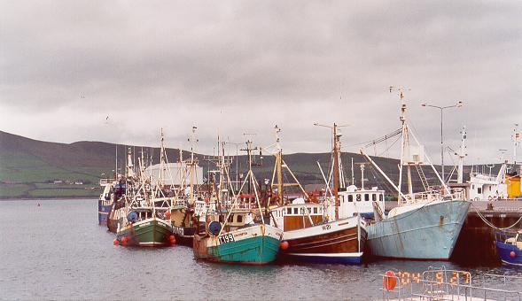 Docks in Dingle, Ireland