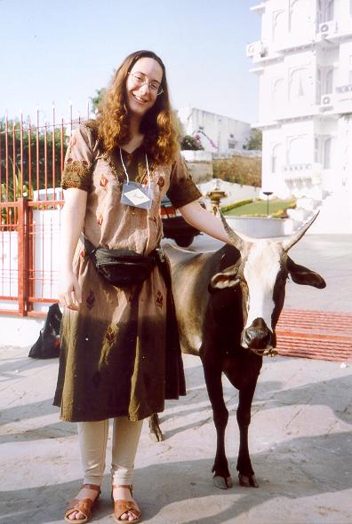 Cow before Udai Kothi hotel