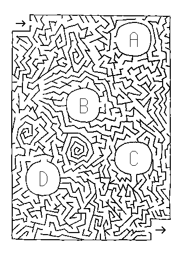 The Hunt Maze